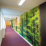 Clear Wall Decals Stickers